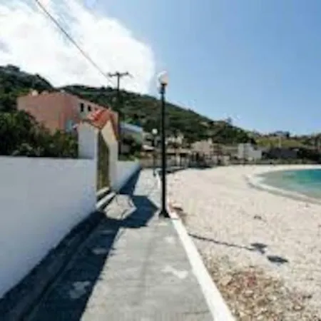 Golden Shellseaside *