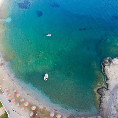 Golden Shellseaside Ligaria (Crete)